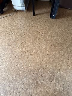 (Category: ) located in . Submitted by prosperous_3594 (Listing ID 1354551423, Image 1). Description: .