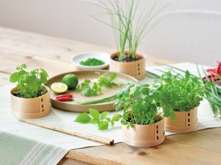 （分類：）位於 。 由 pekkkleduck0108 提交（商品編號 1354664688，圖片 1）。簡介： 。