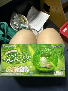 （分類：）位於 。 由 katrinati 提交（商品編號 1354900628，圖片 1）。簡介： 。