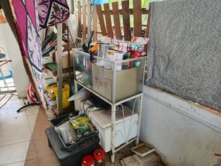 (Category: ) located in . Submitted by jemiys (Listing ID 1354871216, Image 1). Description: .