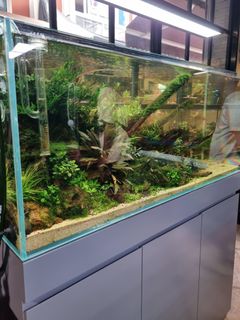 (Category: ) located in . Submitted by aquaticstore (Listing ID 1354910124, Image 1). Description: .
