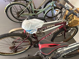 (Category: ) located in . Submitted by recybicycle (Listing ID 1354772308, Image 1). Description: .