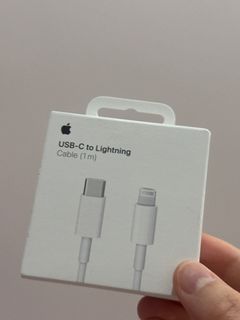 iPhone 叉電線Apple