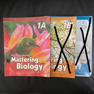（分類：）位於 。 由 dykhmily 提交（商品編號 1353062779，圖片 1）。簡介： 。