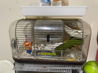 (Category: ) located in . Submitted by sebastian3363 (Listing ID 1355038200, Image 1). Description: .