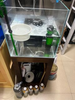 （分類：）位於 。 由 ck9432 提交（商品編號 1355067926，圖片 1）。簡介： 。