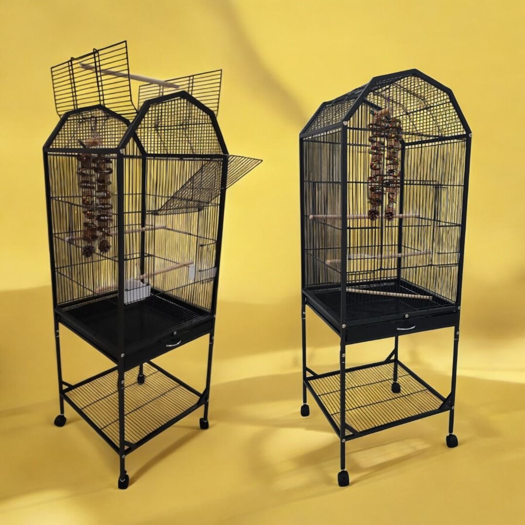 Clearance Sales ! $69 only ! Tall Bird Cage / Parrot Cage | Premium Wrought Iron | Transparent Front Option | SPECIAL SALE (Category: Homes & Other Pet Accessories) located in Singapore. Submitted by inspired-living (Listing ID 1339695113, Image 3). Description: From $69 only — Limited Time Special Deal! Upgrade your bird’s home with our bestselling Tall Bird Cage / Parrot Cage Series, now at special promo prices! Designed for small to medium par