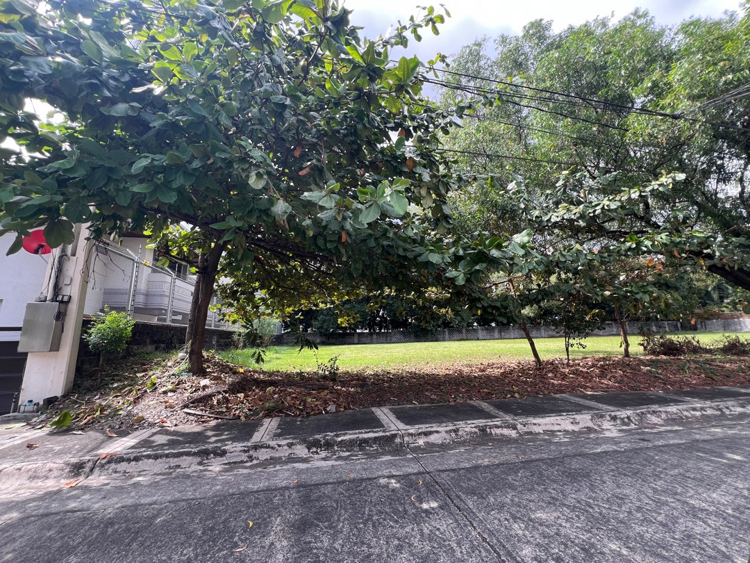 (Category: ) located in . Submitted by brokerhanstaneo_09178038728 (Listing ID 1355030391, Image 1). Description: .