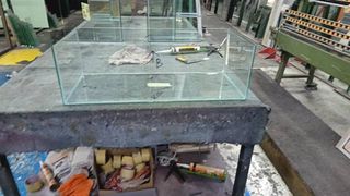 (Category: ) located in . Submitted by aquaticsolutions (Listing ID 1355016588, Image 1). Description: .