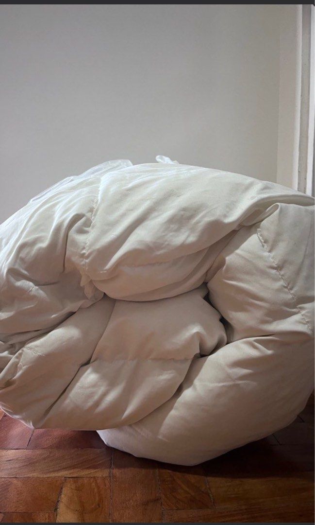 Duck Down Duvet Filler (Standard Size) (Category: Bedding & Towels) located in San Juan City. Submitted by stronqd (Listing ID 1354975249, Image 1). Description: Standard Size (see photo for details) Duck Down Duvet filler. Never used, but needs dry cleaning as it is only stored in a garbage bag, not its original conatiner..