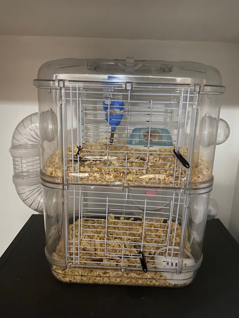 IC hamster cage and accessories, Pet Supplies, Homes & Other Pet ...