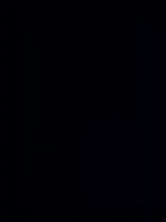 (Category: ) located in . Submitted by caroutest_douglas1740503120 (Listing ID 1355090037, Image 1). Description: .