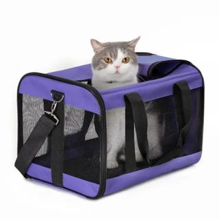 (Category: ) located in . Submitted by lifehall (Listing ID 1355058932, Image 1). Description: .