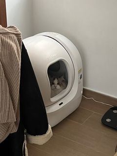 （分類：）位於 。 由 multiplelunar 提交（商品編號 1354920682，圖片 1）。簡介： 。