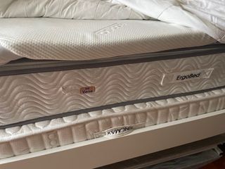 （分類：）位於 。 由 dc216 提交（商品編號 1355008104，圖片 1）。簡介： 。