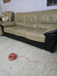 (Category: ) located in . Submitted by yazidabba (Listing ID 1355096551, Image 1). Description: .