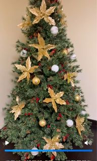 (Category: ) located in . Submitted by roseanc (Listing ID 1355170378, Image 1). Description: .