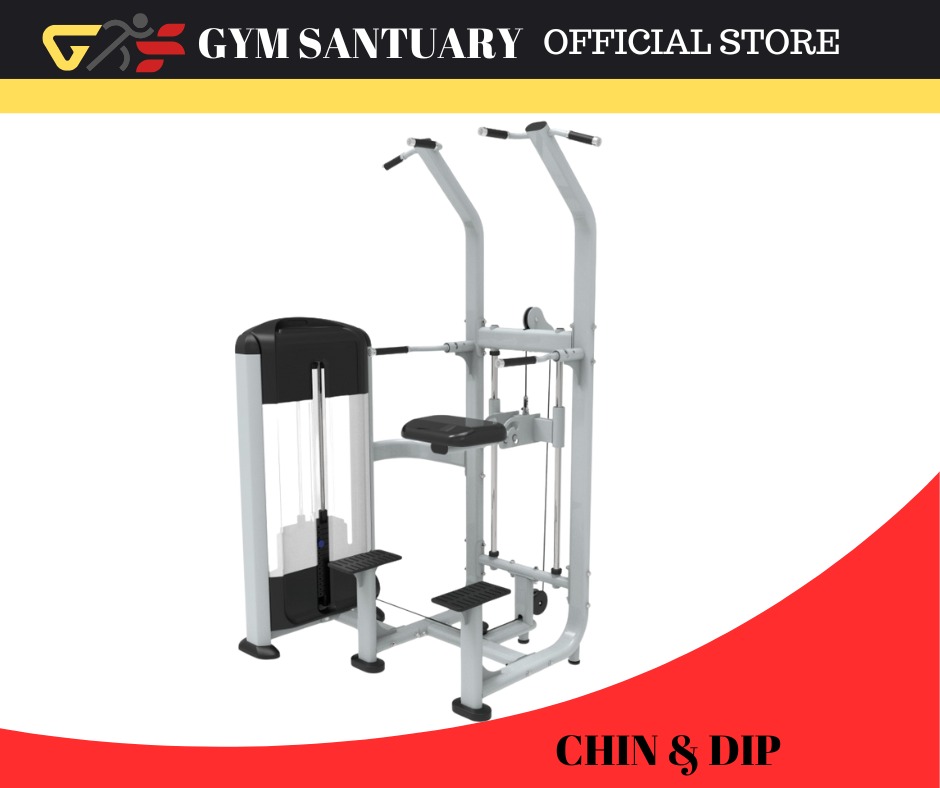 GSS CHIN & DIP (PIN LOADED), Sports Equipment, Exercise & Fitness ...