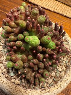 (Category: ) located in . Submitted by daphne3003 (Listing ID 1355257409, Image 1). Description: .