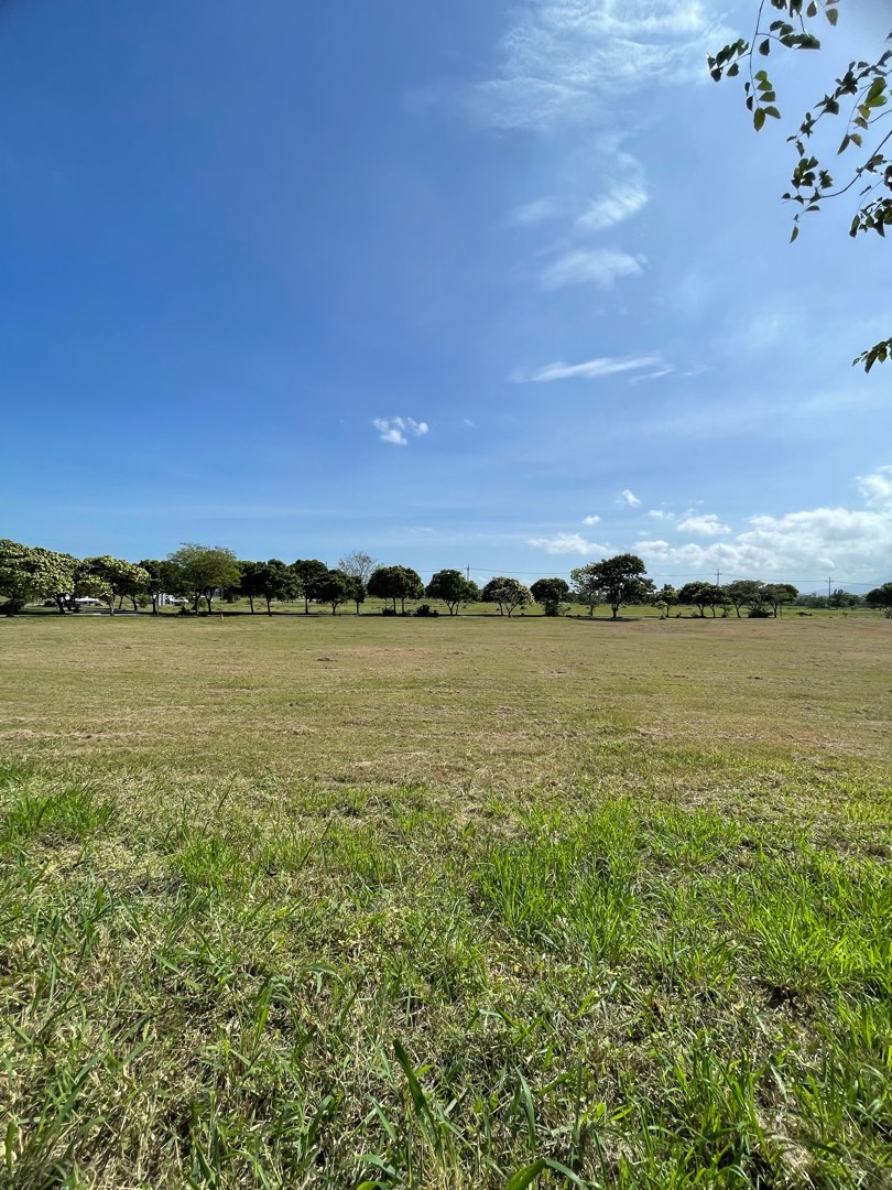 (Category: ) located in . Submitted by garciapaul (Listing ID 1355131183, Image 1). Description: .