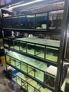 (Category: ) located in . Submitted by fishineed (Listing ID 1355393324, Image 1). Description: .