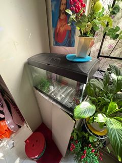 （分類：）位於 。 由 therealtroy14 提交（商品編號 1355442299，圖片 1）。簡介： 。