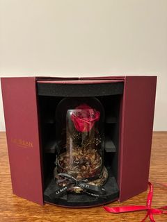 （分類：）位於 。 由 cacarorosell 提交（商品編號 1355420344，圖片 1）。簡介： 。