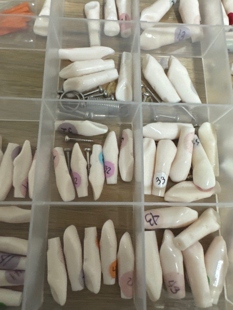 nissing typodont refills (Category: Medical Supplies & Tools) located in Quezon City. Submitted by charleneconopio (Listing ID 1355450600, Image 2). Description: refills for typo.