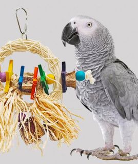 (Category: ) located in . Submitted by fluffy_n_wings (Listing ID 1355423358, Image 1). Description: .