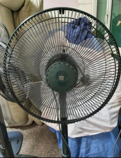 (Category: ) located in . Submitted by cocoda (Listing ID 1355509759, Image 1). Description: .