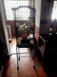 (Category: ) located in . Submitted by hollyjean (Listing ID 1355339425, Image 1). Description: .