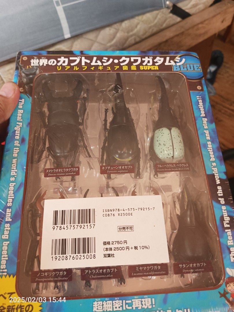 Beetles of the world figures (Category: Figurines & Statues) located in Caloocan City. Submitted by harleyplushies (Listing ID 1350962925, Image 1). Description: sealed South caloocan J and t, lalamove, lbc.