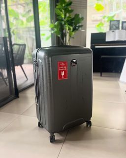 Delsey Luggage Gray Large
