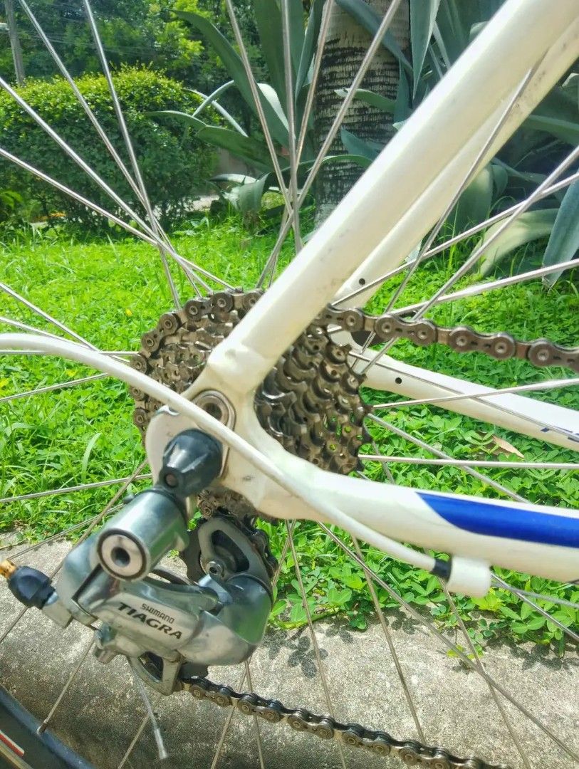 Fuji Roubaix 2.0 (Category: Bicycles) located in Cebu City. Submitted by buddylimong (Listing ID 1350986264, Image 3). Description: Fuji Roubaix 2.0 Frame: Fuji Altair 2 AL/Carbon seatstays Fork: Fuji FC-770 Carbon Groupset: Shimano Tiagra 9 speed - 34-50 Chain ring; 11-25 Cassette Breakset: Oval R300 Pedals: SpeedOne Cleats Drop bar, Seatpost & Stem: Oval Wheelset: 28/32 Alex AKX-R3.0 Hubs and Rims; 700 x 23c Vittoria Zaffiro Tires Saddle: Adamo