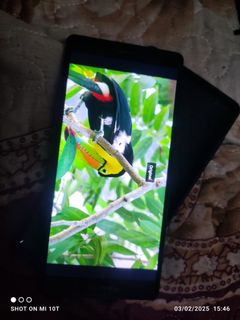 (Category: ) located in . Submitted by akmaladnan19 (Listing ID 1350964564, Image 1). Description: .