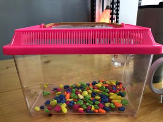 (Category: ) located in . Submitted by jjdin (Listing ID 1351142362, Image 1). Description: .