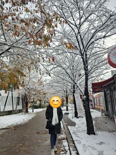 (Category: ) located in . Submitted by etcsh0p (Listing ID 1351137587, Image 1). Description: .