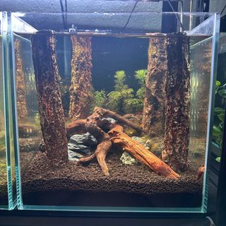 (Category: ) located in . Submitted by gabrielkyk (Listing ID 1351194071, Image 1). Description: .
