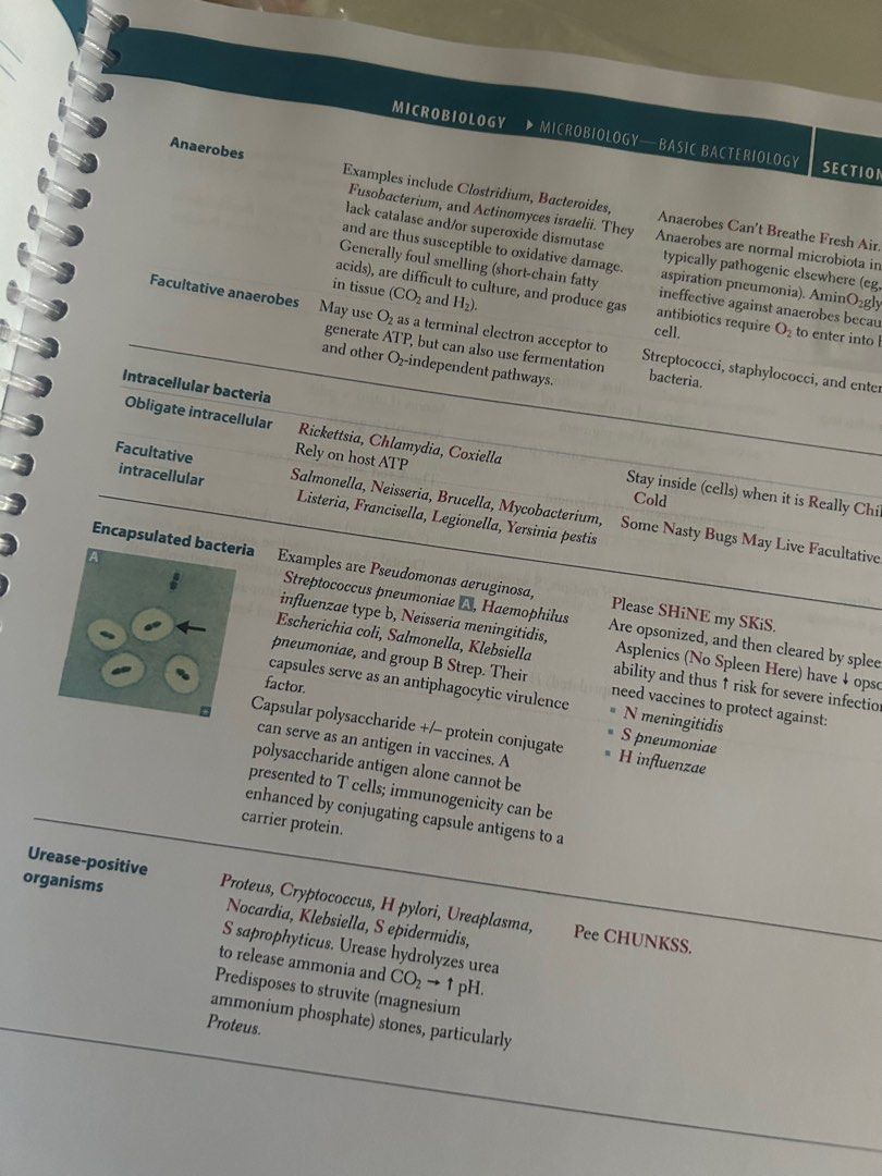 First Aid USMLE Step 1 2024 Reprint (Category: Textbooks) located in Manila. Submitted by beeeee. (Listing ID 1351083617, Image 2). Description: FIRST AID USMLE STEP 1 2024 Reprint Letter Size BRAND NEW NO HIGHLIGHTS DELIVERY FEE TO BE PAID BY BUYER .