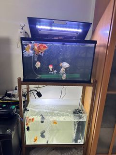 (Category: ) located in . Submitted by thantzin18 (Listing ID 1351212463, Image 1). Description: .