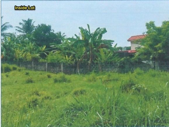 FOR SALE | Mixed- Use Development in Amadeo, Cavite (Category: Lot) located in Makati City. Submitted by deramosbengel (Listing ID 1351107943, Image 3). Description: FOR SALE | Mixed- Use Development in Amadeo, Cavite Area: 12,756 sqms Irregular shaped lot with 20m frontage along CM Delos Reyes Avenue, and 67m along the right-of-way Near Tagaytay Bypass Road Generally flat landscape Highest and Best Use: Mixed-use development with residential and