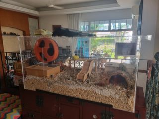 (Category: ) located in . Submitted by sbv8318s (Listing ID 1351078730, Image 1). Description: .