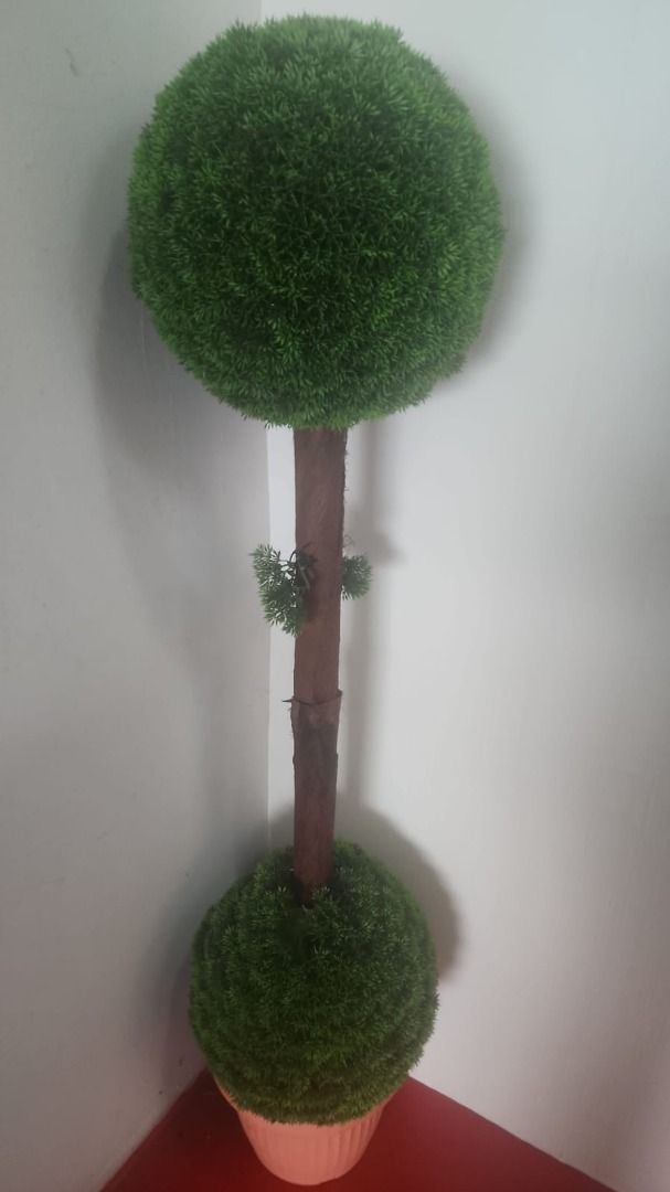 Indoor Artificial plant