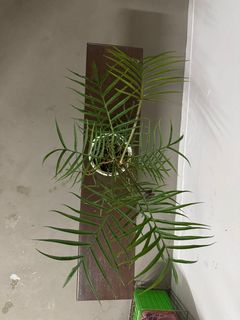 (Category: ) located in . Submitted by whiteprata_ (Listing ID 1351205995, Image 1). Description: .