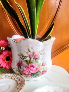 (Category: ) located in . Submitted by bonechina (Listing ID 1351077683, Image 1). Description: .
