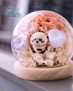 （分類：）位於 。 由 applelee0520 提交（商品編號 1351267794，圖片 1）。簡介： 。