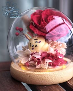 （分類：）位於 。 由 applelee0520 提交（商品編號 1351267998，圖片 1）。簡介： 。