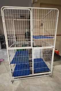 (Category: ) located in . Submitted by luvgiftsg (Listing ID 1351281808, Image 1). Description: .