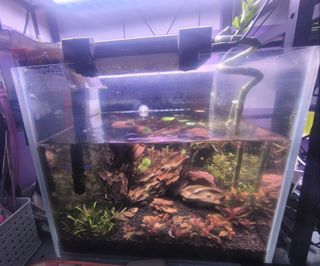 (Category: ) located in . Submitted by ashaazx (Listing ID 1351298096, Image 1). Description: .