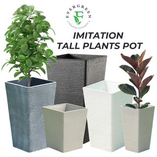(Category: ) located in . Submitted by evergreen_gardening (Listing ID 1351308622, Image 1). Description: .